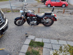99 Honda Shadow