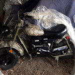 Massimo Mini Bike