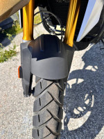 2023 BMWGS 310