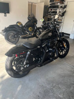 2020 Harley-Davidson XL883N Sportster Iron 883