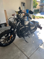 2020 Harley-Davidson XL883N Sportster Iron 883