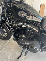 2020 Harley-Davidson XL883N Sportster Iron 883