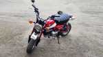 2019 HONDA MONKEY Z125