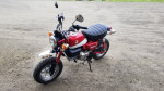 2019 HONDA MONKEY Z125