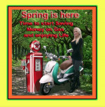 150 cc Scooters sale $1499.99