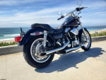 1985 Harley-Davidson FXRS , Fresh Build, Strong 80" EVO