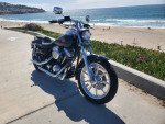 1985 Harley-Davidson FXRS , Fresh Build, Strong 80" EVO