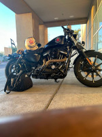 2019 harley sporster 883