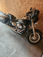2005 softail Harley davidson