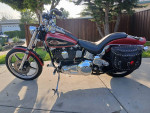 1998 HARLEY DAVIDSON FXSTC SOFTAIL