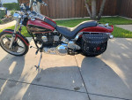1998 HARLEY DAVIDSON FXSTC SOFTAIL