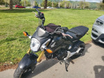 2014 Honda Grom