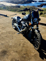 2013 Harley-Davidson Iron 883