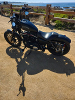 2013 Harley-Davidson Iron 883