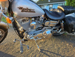 2000 Harley Dina Glide