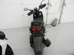 2023 WOLF BRAND SCOOTERS RUGBY II 150CC
