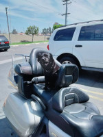 2003 GL 1800 Honda Goldwing. Lowering price from 7000$ to 6000$