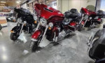 Harley Davison