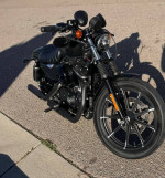 2018 Harley Davidson XL883 iron -price to sell-runs great