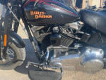 Harley Davison cross born