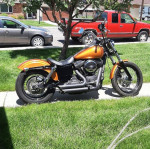 2015 street bob