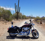 Brand New (almost) Harley Davidson XL 883 Superlow