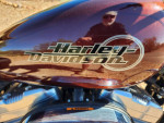 Brand New (almost) Harley Davidson XL 883 Superlow