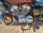 Brand New (almost) Harley Davidson XL 883 Superlow