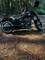 2016 Harley-Davidson® FLSS - Softail Slim S V Twin