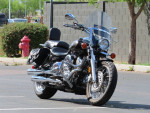 Used 2003 Yamaha V-Star 1100 Custom in Black @ RideNow