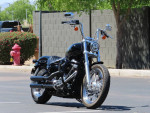 Used 2020 Harley-Davidson® FXST - Softail® Standard in Black @