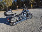 2003 Harley Heritage Softail