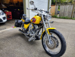 FXR4