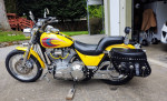 FXR4