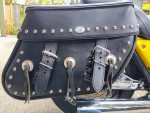 FXR4