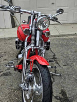 Harley-Davidson Springer Softail