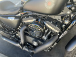 Harley Davidson Sportster