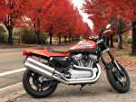 2009 HD XR 1200