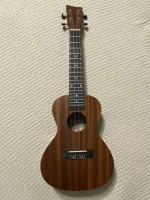 Ukulele