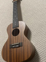 Ukulele