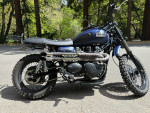 Triumph Scrambler 900