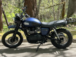 Triumph Scrambler 900