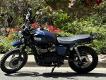 Triumph Scrambler 900