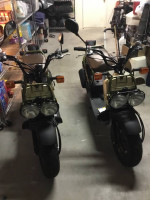 Honda Ruckus (2)