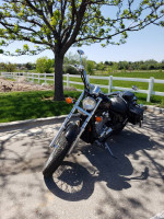 2007 Honda shadow 600