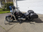 Suzuki boulevard c50
