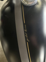 2022 Triumph Street Twin - Gold Line