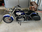 Triumph America