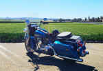 HARLEY DAVIDSON FLHS EVOLUTION