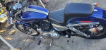 06 Harley Sportster Custom